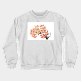 Achillea millefolium &#39;Salmon Beauty&#39; Crewneck Sweatshirt